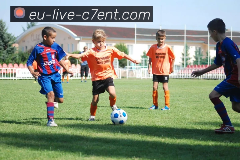 C7 YULE平台生态图