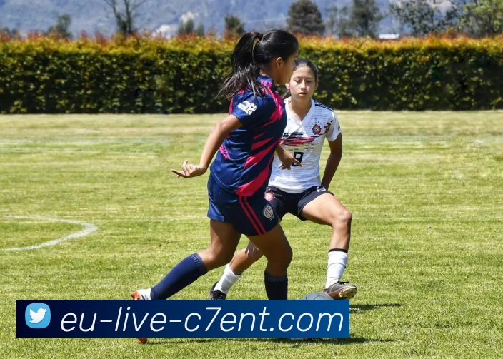 实时数据中心